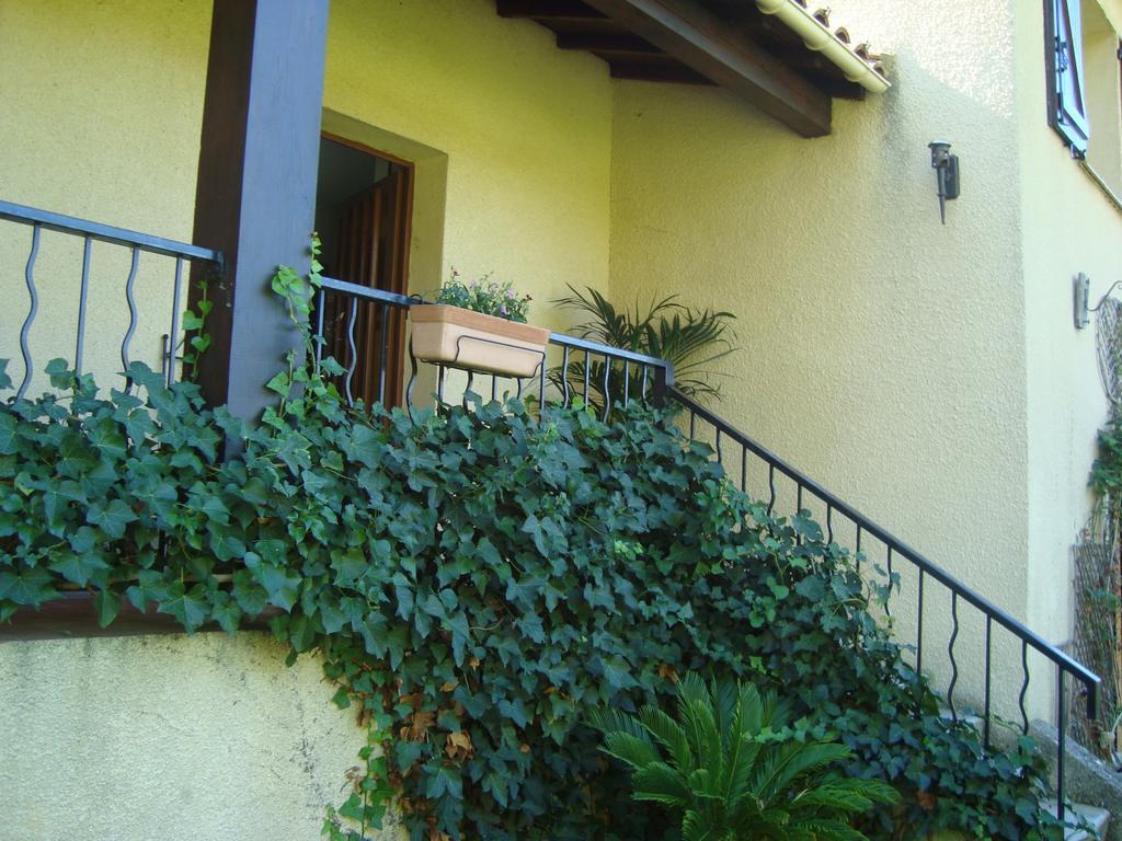 Chambres d'hôtes Les Palmiers de la Cité Carcasona Exterior foto